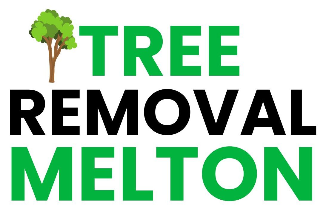 Tree Removal Melton | 5-Star Rated Services [With Costs]